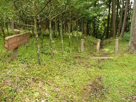 金時公園のハイキングコース