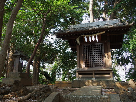 シカ舎前の浅間神社