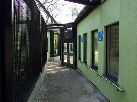 夢見ヶ崎動物公園のレムール舎