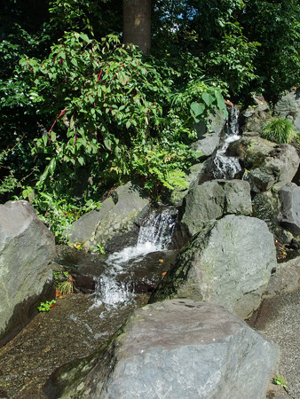 安養寺の小川