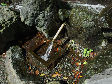 安養寺の小川