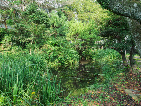 かがみ石公園の池