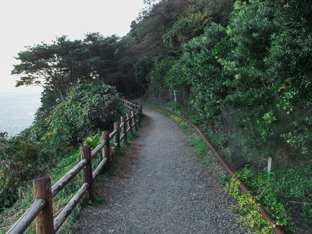 東海自然歩道 薩埵峠