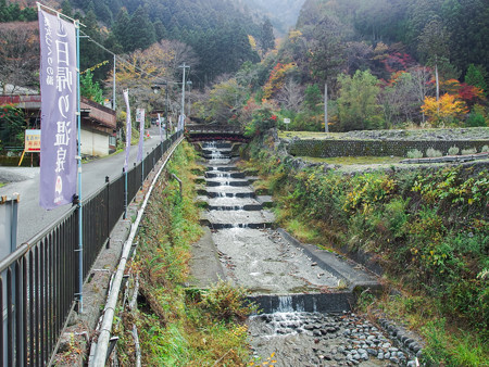 寸又峡 カジカ沢