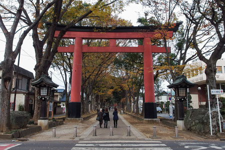 氷川参道 二の鳥居