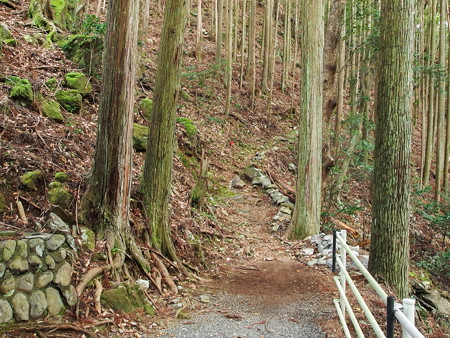 外森神社から続くハイキングコース