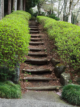 天母山自然公園