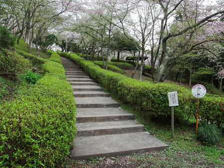 天母山自然公園