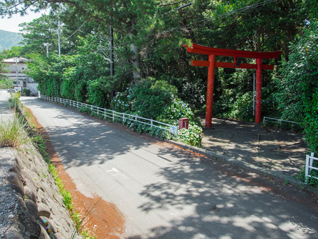 諸口神社の鳥居