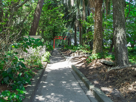 諸口神社の参道