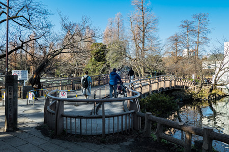 井の頭池 狛江橋