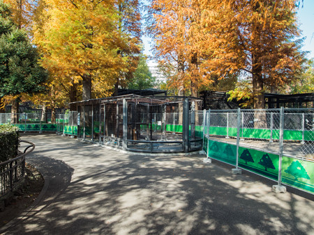 工事中の水生物園