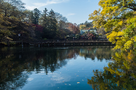 井の頭池 弁天橋