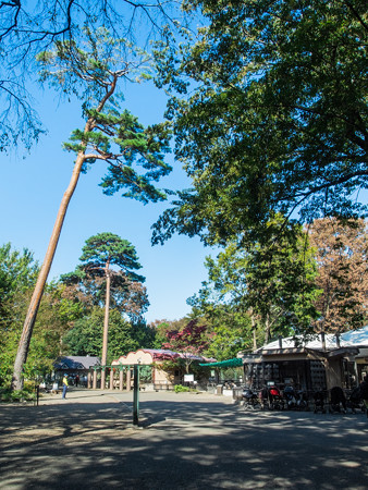 井の頭自然文化園 動物園