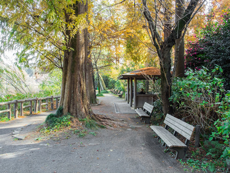 水生物園 水辺の小道