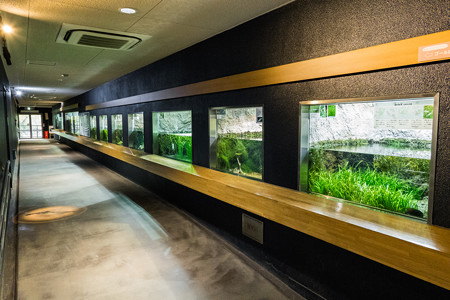 井の頭自然文化園 水生物館