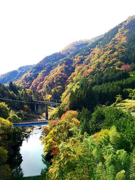 P_20151101_120844 小坂の風景 写真: P_20151101_120844 小坂の風景