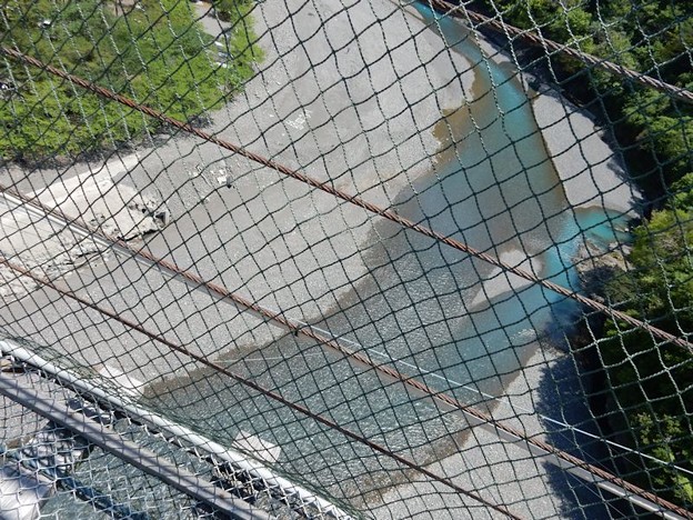 DSCN0595 やせ我慢 写真: DSCN0595 やせ我慢
