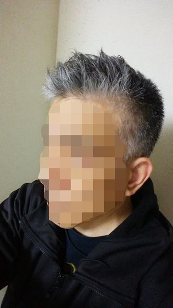 だんだん短く 写真: だんだん短く