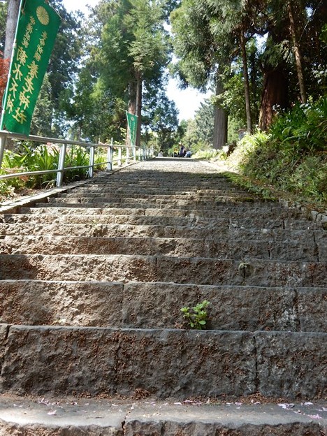 6養老神社 写真: 6養老神社