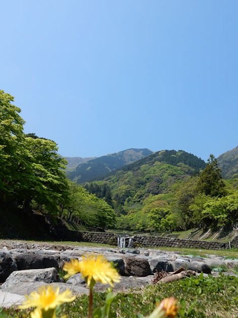 2春ですね 写真: 2春ですね