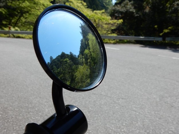 新緑の中 写真: 新緑の中