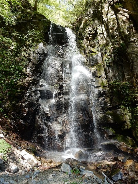 瀬戸かつら大滝 写真: 瀬戸かつら大滝