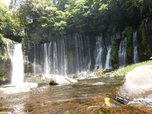 最接近 写真: 最接近