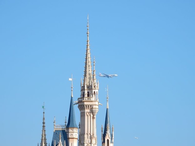 TDL2018.6.2 (2) 写真: TDL2018.6.2 (2)
