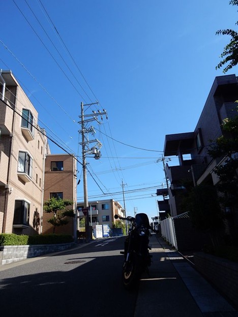 晴天 写真: 晴天