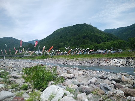 鯉のぼる遠山川