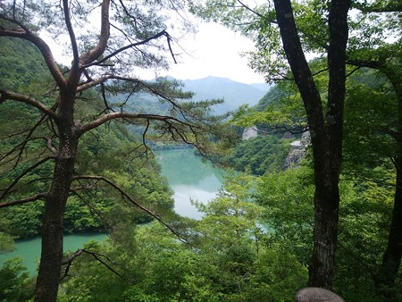新緑の中から天竜川
