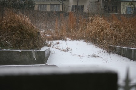2016年1月24日の寒波襲来、初雪(下関市)