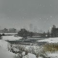 雪の豊平川・自然のソフトフォーカス～♪
