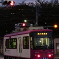 夕暮れローズレッド