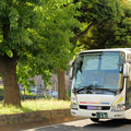 「終点近くの一里塚」を走る夜行バス