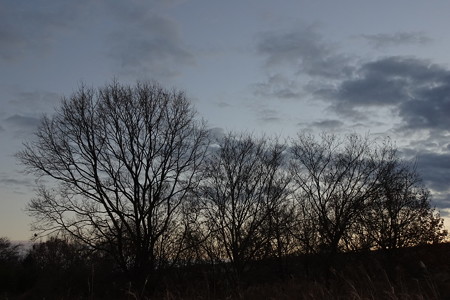 DSC00078
