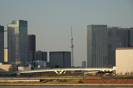 DSC00379