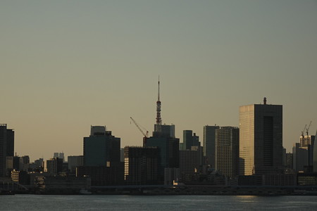 DSC00384
