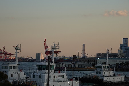 DSC00408
