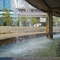 滝の広場