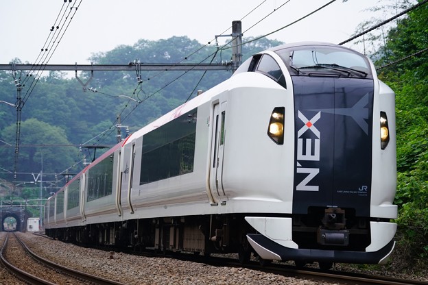 E259系成田エクスプレス@摺差第二踏切