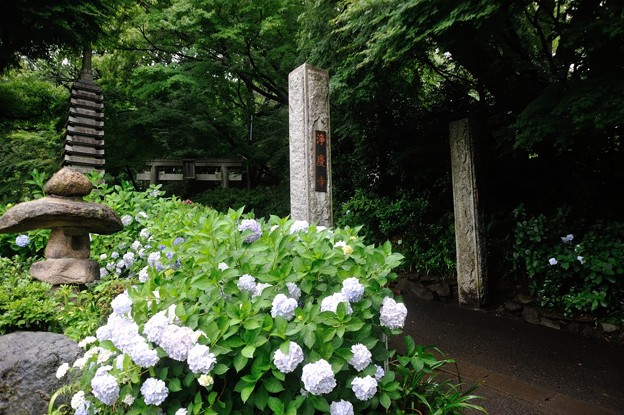 (浄慶寺の入口)