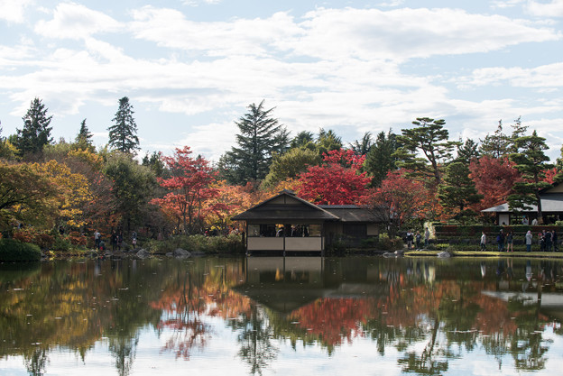 【昭和記念公園(日本庭園の紅葉)】1