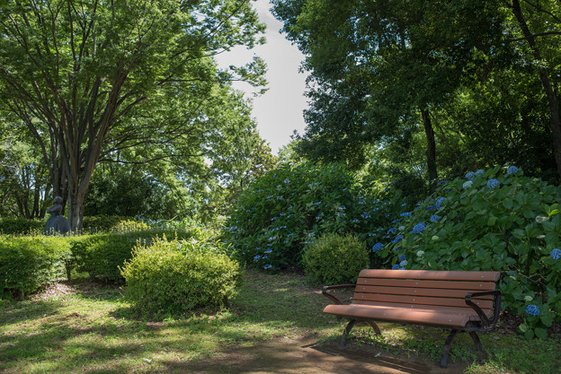 昭和記念公園【あじさいロードの景色】3