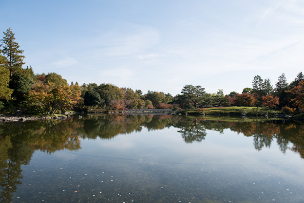 昭和記念公園【日本庭園：池と紅葉】3
