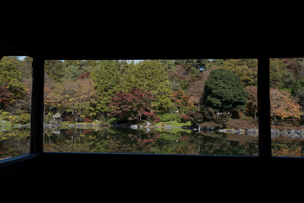 昭和記念公園【日本庭園：池と紅葉】7