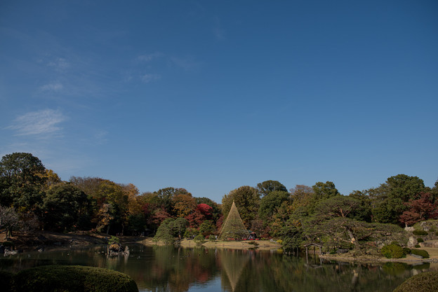 六義園【大泉水の紅葉】1