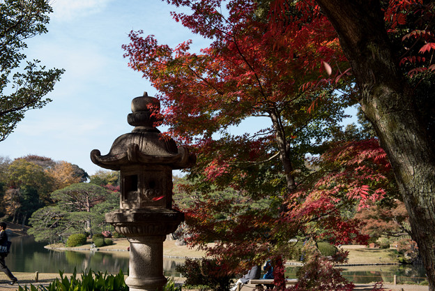 六義園【出汐湊の紅葉】2