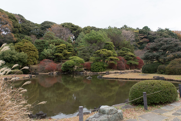 小石川植物園【日本庭園の様子】